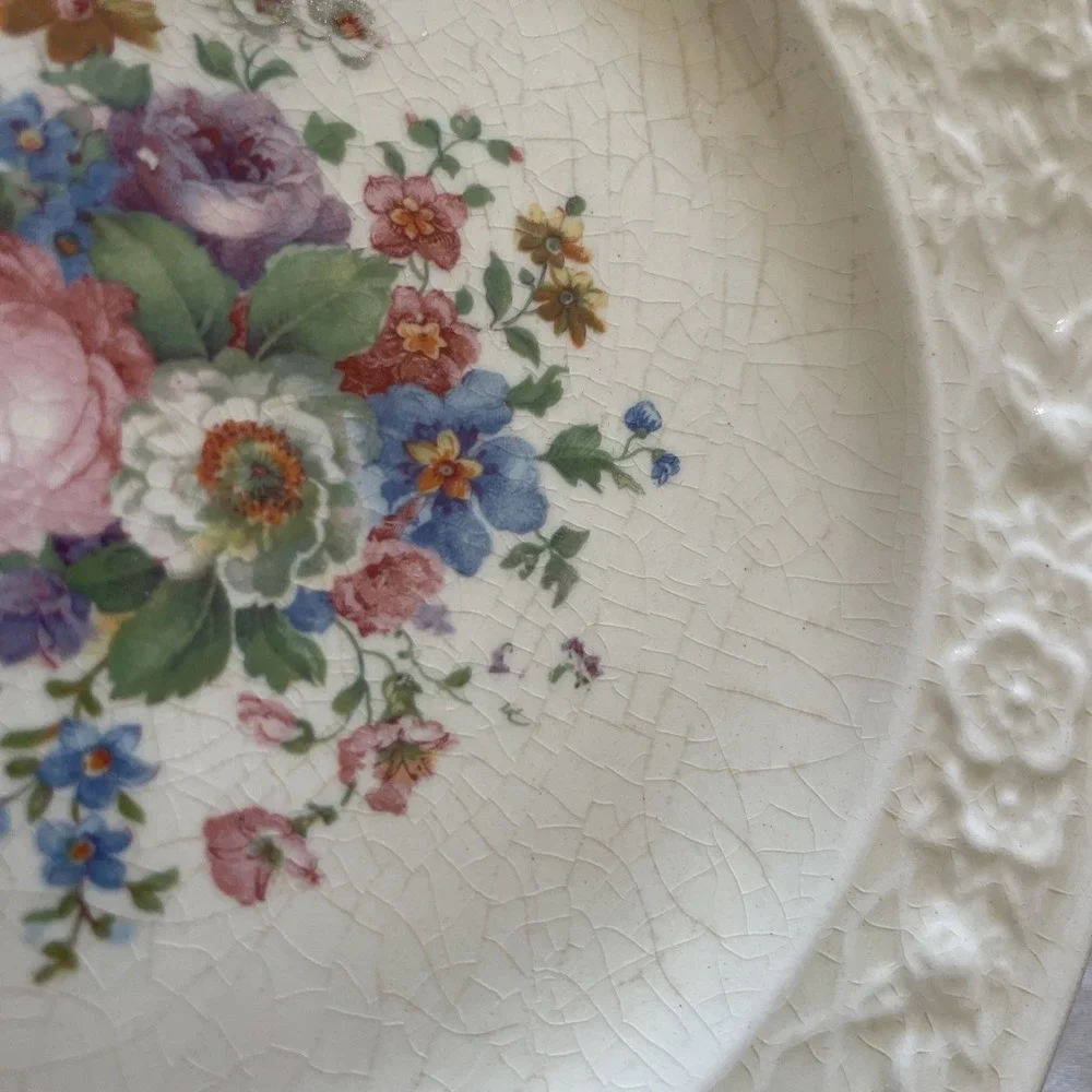 5 Briar Rose by‎ Salem SLM46 Embossed Rim Floral Motif Ivory 6